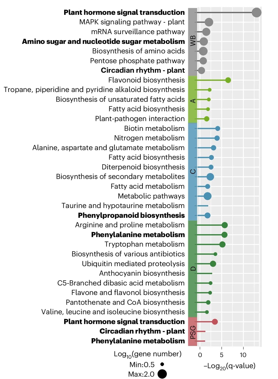 Open access visualization of Scatter Plot, Error Bars, KEGG Enrichment, Gene Families, Woody Bamboo