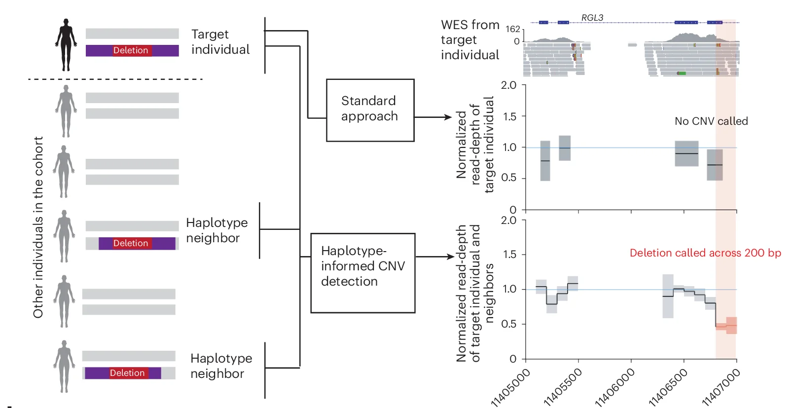 Open access visualization of Line Plot, Line Step, Error Bars, Workflow, CNVs