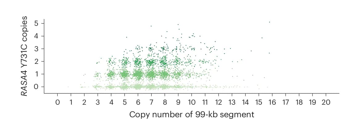 Open access visualization of Scatter Plot, Copy Number Variation, Segmental Duplication, Missense Variant, RASA4 Y731C