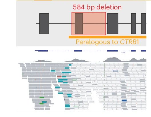Open access visualization of Workflow, Line Plot, Illustration, CTRB2 Exon 6 Deletion, Exome Sequencing