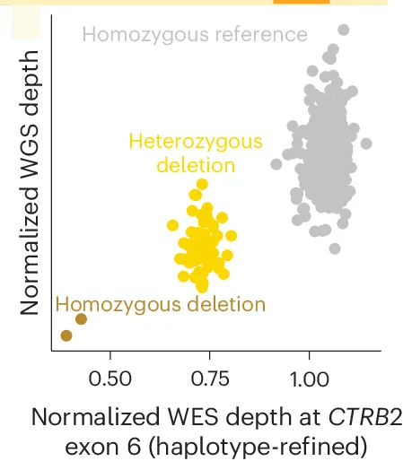 Open access visualization of Scatter Plot, Whole-Genome Sequencing, Exome Sequencing, Read Depth, CTRB2 Exon 6