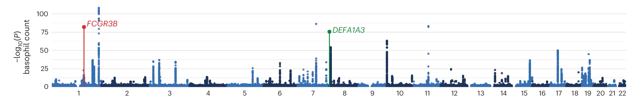 Open access visualization of Manhattan Plot, Genome-wide Associations, Basophil Counts