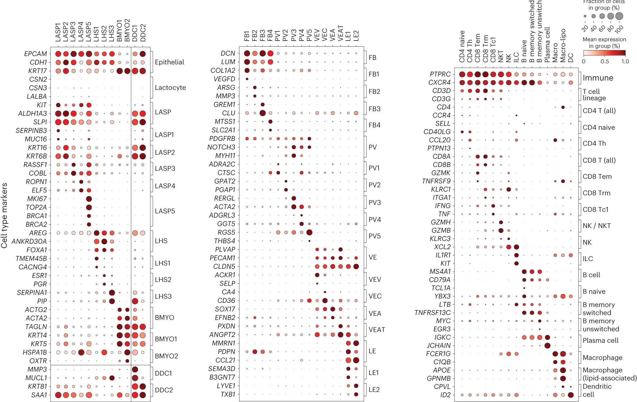 Open access visualization of Bubble Plot, Heatmap, Dot Plots, Cell Markers, Cell Types