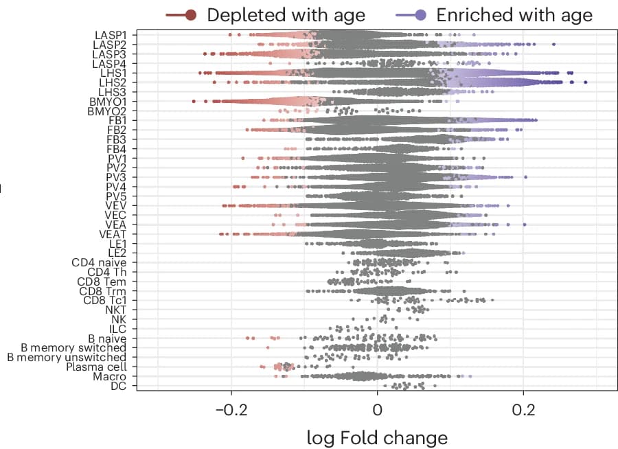 Open access visualization of Violin Plot, Scatter Plot, Beeswarm Plot, Log Fold Changes, Milo Neighborhoods