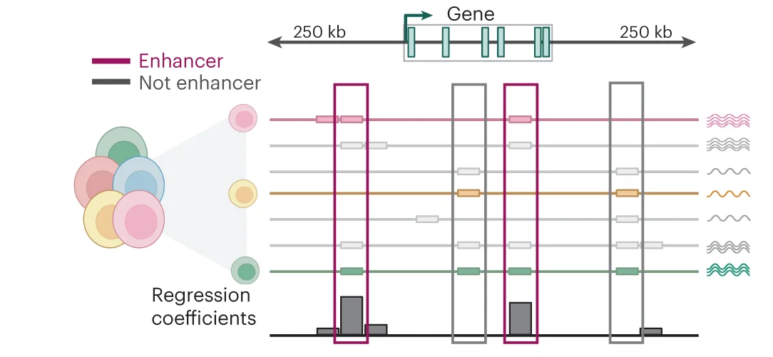 Open access visualization of Illustration, Workflow, Bar Plot, Single-Cell ATAC-Seq, Gene Expression