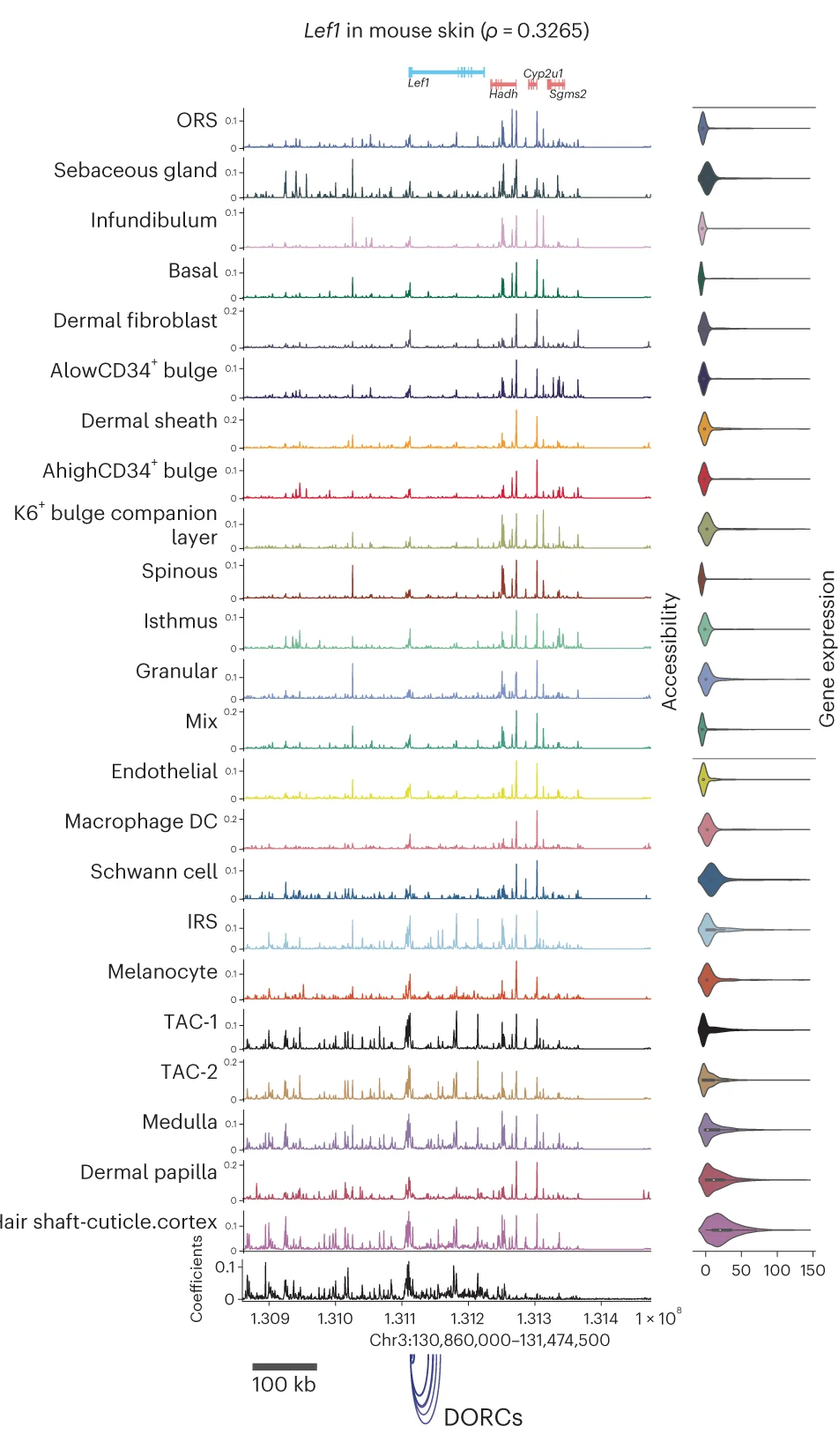 Open access visualization of Line Plot, Violin Plot, Spearman Correlation, Gene Expression, SCARlink