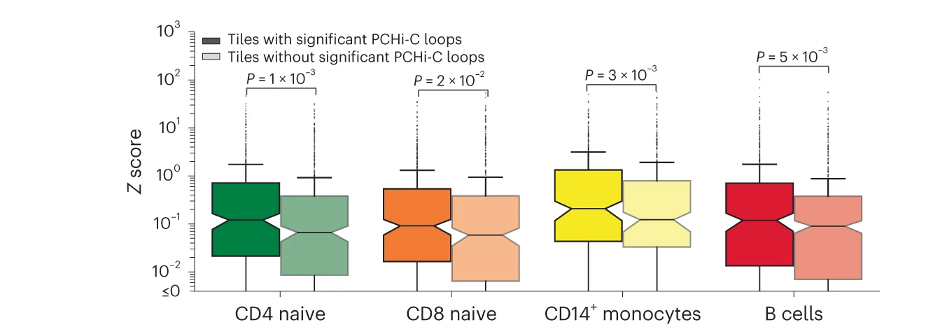 Open access visualization of Box Plot, Boxplots, Feature Scores, PCHi-C interactions, Genes