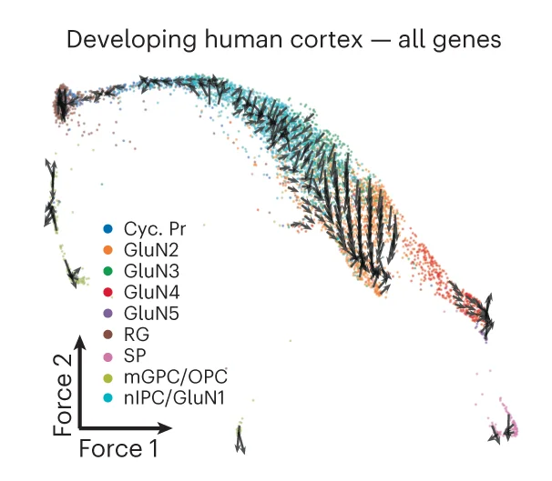 Open access visualization of Scatter Plot, Chromatin Potential, Human Cortex, Cell Differentiation, Gene Expression