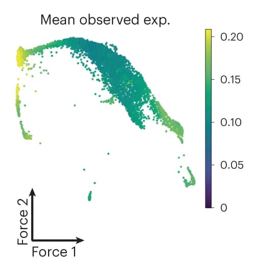 Open access visualization of Scatter Plot, UMAP, Gene Expression, scRNA-seq, Observed Expression