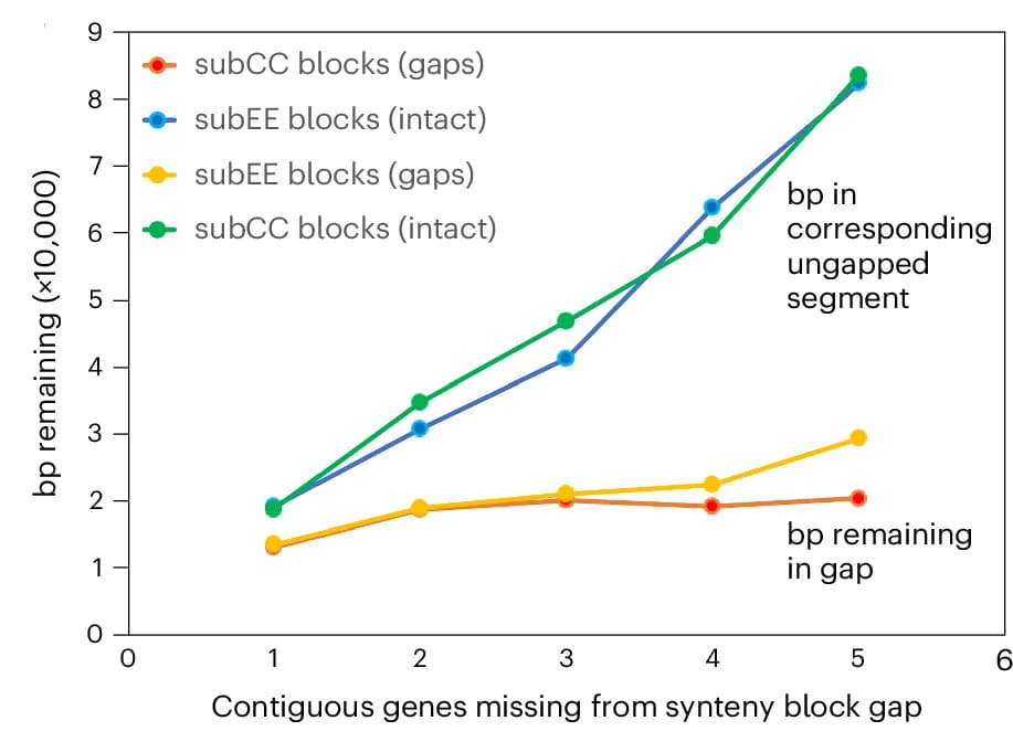 Open access visualization of Line Plot, Scatter Plot, Base Pairs, Intergenic DNA, Synteny Block Gaps