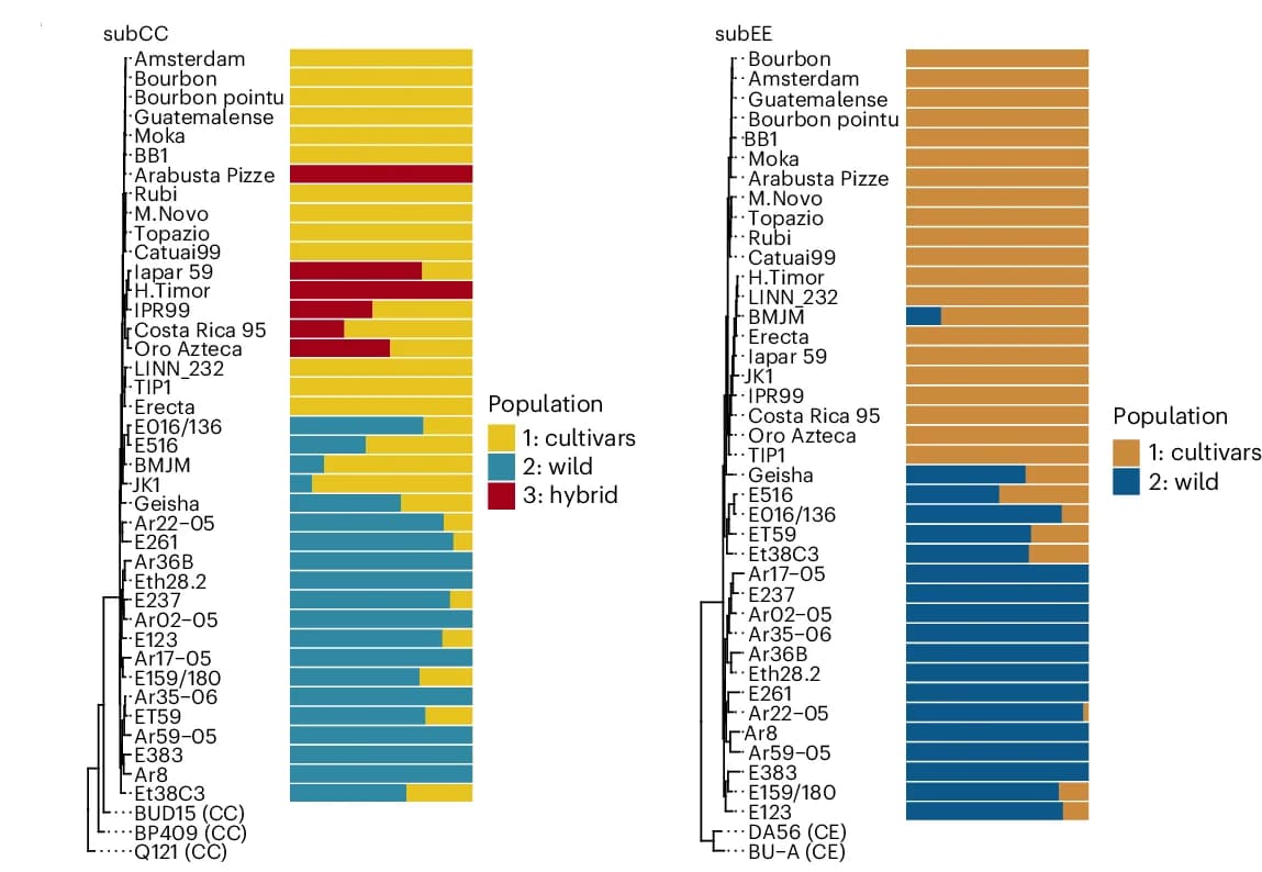 Open access visualization of Stacked Bar Plot, Population Assignments, Phylogenetic Trees, SNPs