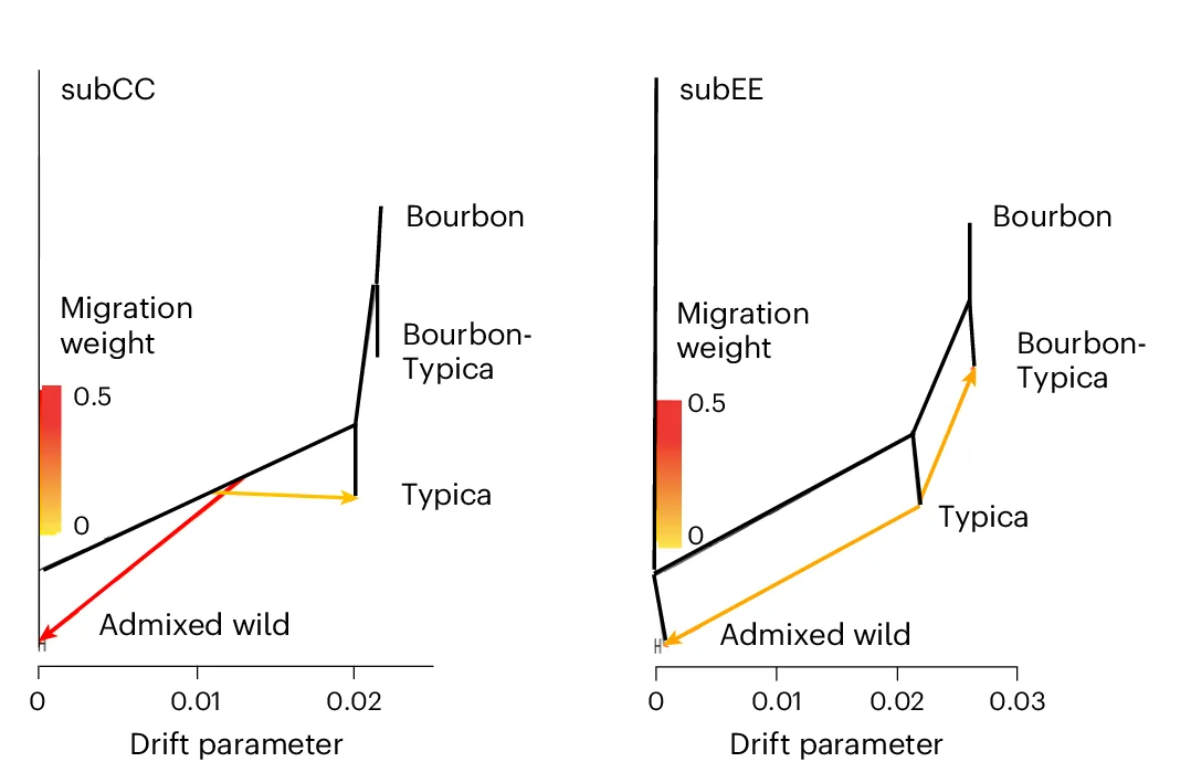 Open access visualization of Line Plot, Sankey, Bar Plot, Gene Flow, Cultivars