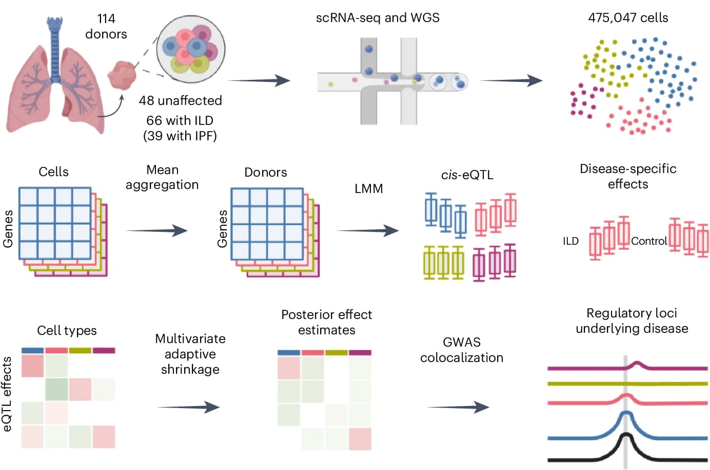 Open access visualization of Workflow, Scatter Plot, Box Plot, Line Plot, Heatmap