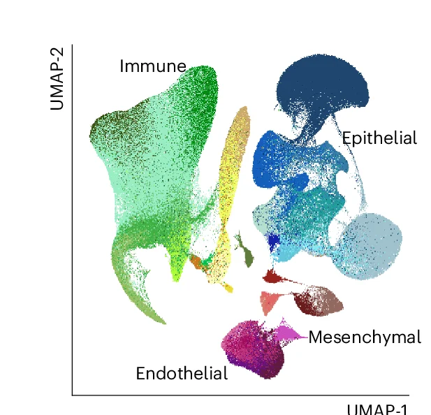Open access visualization of Scatter Plot, UMAP, Dimensionality Reduction, Cell Types, eQTL Analysis