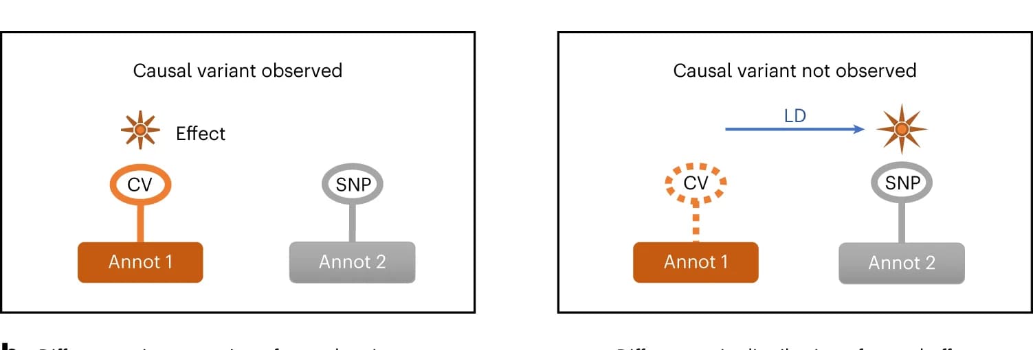 Open access visualization of Workflow, Illustration, Functional Annotations, Causal Variant, SNP