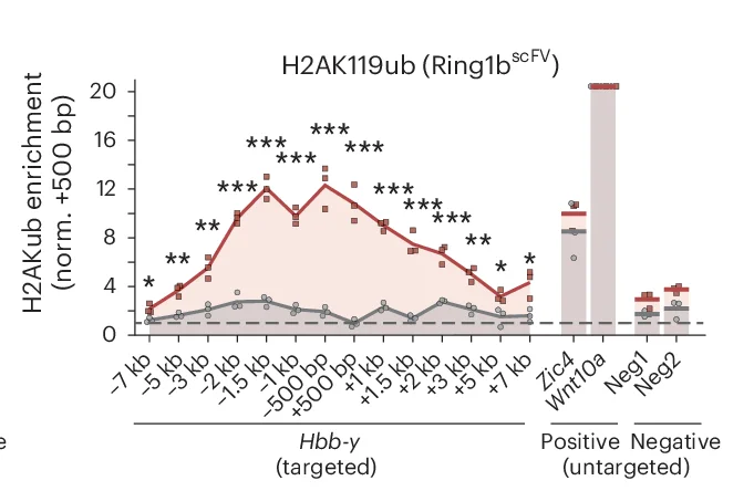 Open access visualization of Line Plot, Bar Plot, Histone Modification, H2AK119ub, Hbb-y Locus