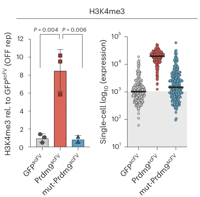 Open access visualization of Bar Plot, Error Bars, Scatter Plot, Chromatin Modification, Transcriptional Responses