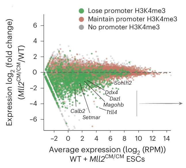 Open access visualization of Scatter Plot, Volcano Plot, MA Plot, Gene Expression, ESCs