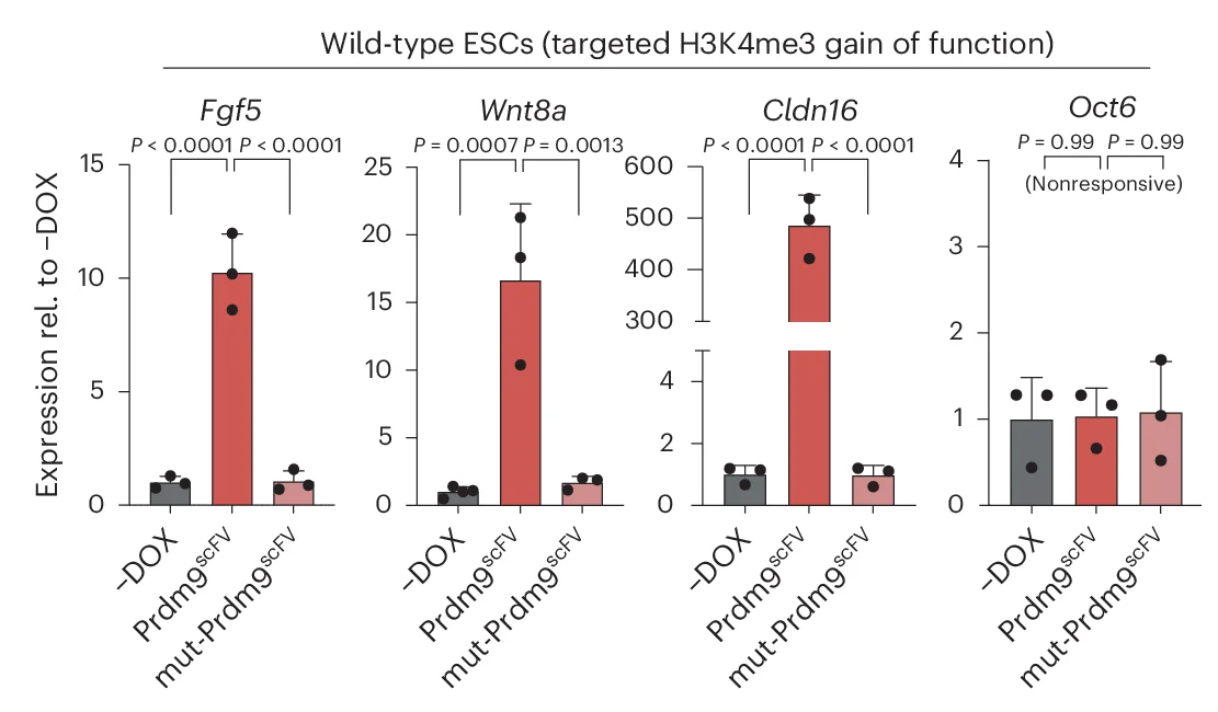 Open access visualization of Bar Plot, Error Bars, Bar Plots, Endogenous Gene Expression, Wild-Type