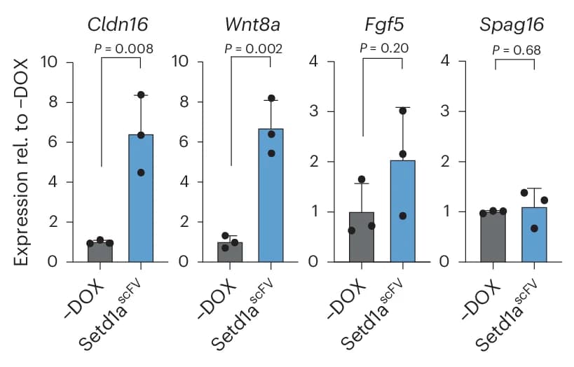 Open access visualization of Bar Plot, Error Bars, Bar Plots, Gene Expression, Wild-Type
