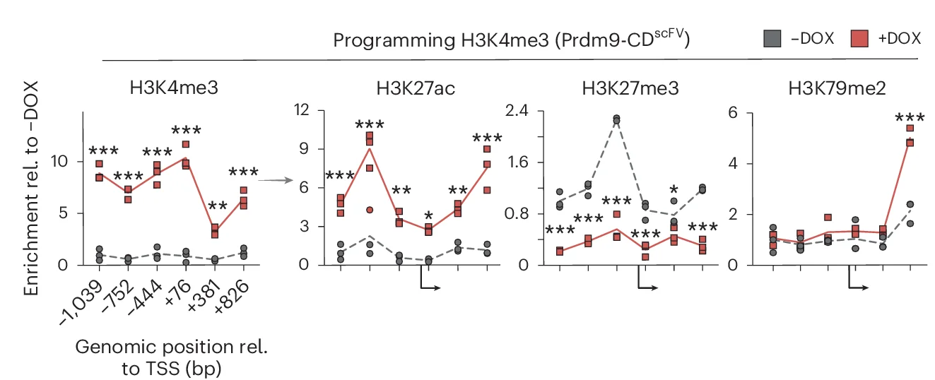 Open access visualization of Line Plot, Scatter Plot, Epigenetic Landscape, Reporter, H3K4me3