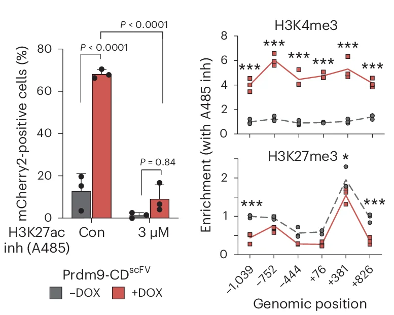 Open access visualization of Bar Plot, Error Bars, Line Plot, Bar Plots, mCherry-Positive Cells