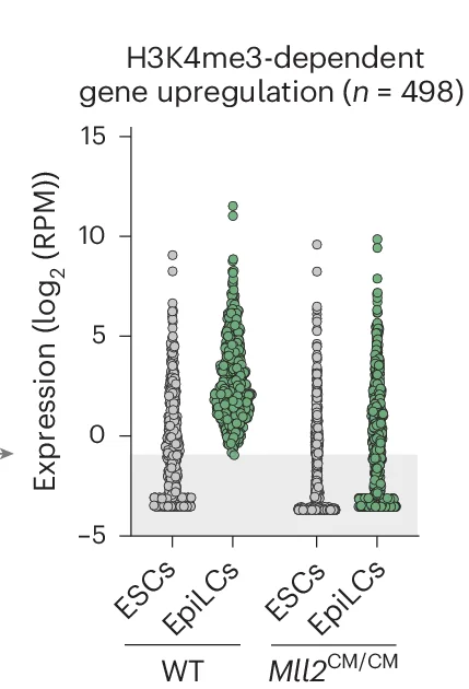 Open access visualization of Scatter Plot, Dot Plots, Gene Expression, Wild-Type, EpiLCs