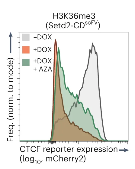 Open access visualization of Density Plot, Flow Cytometry, CTCF Reporter, H3K36me3 Programming, DNA Methylation Inhibitor