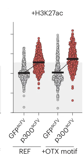 Open access visualization of Violin Plot, Box Plot, Scatter Plot, Dot Plots, Epigenetic Marks