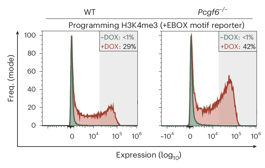 Open access visualization of Line Plot, Density Plot, Flow Cytometry, EBOX Reporter Expression, Prdm9 scFV Targeting
