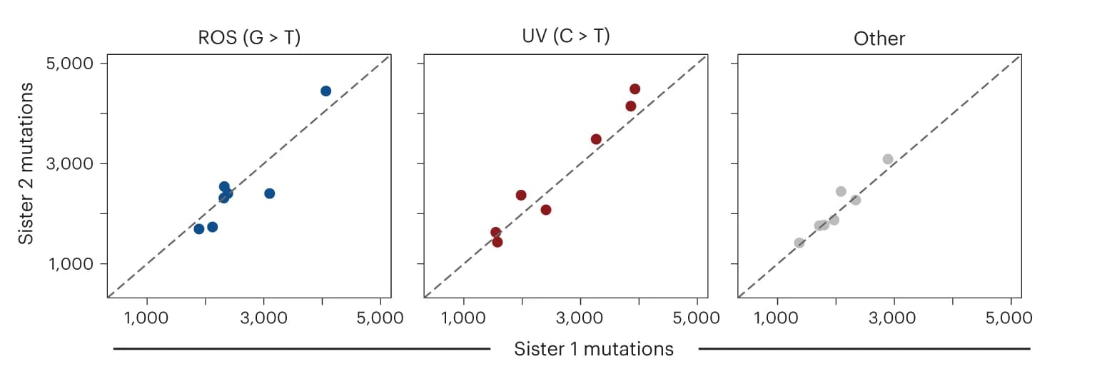 Open access visualization of Scatter Plot, Regression Plot, Mutations, Sister Pairs, Mutational Processes