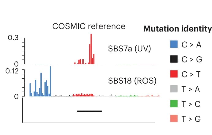Open access visualization of Bar Plot, COSMIC, Reference Signature