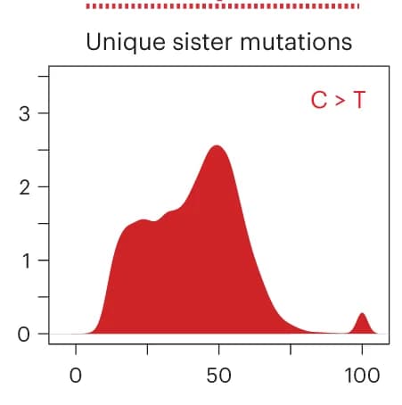 Open access visualization of Density Plot, VAF, UV Mutations, Sister Cell