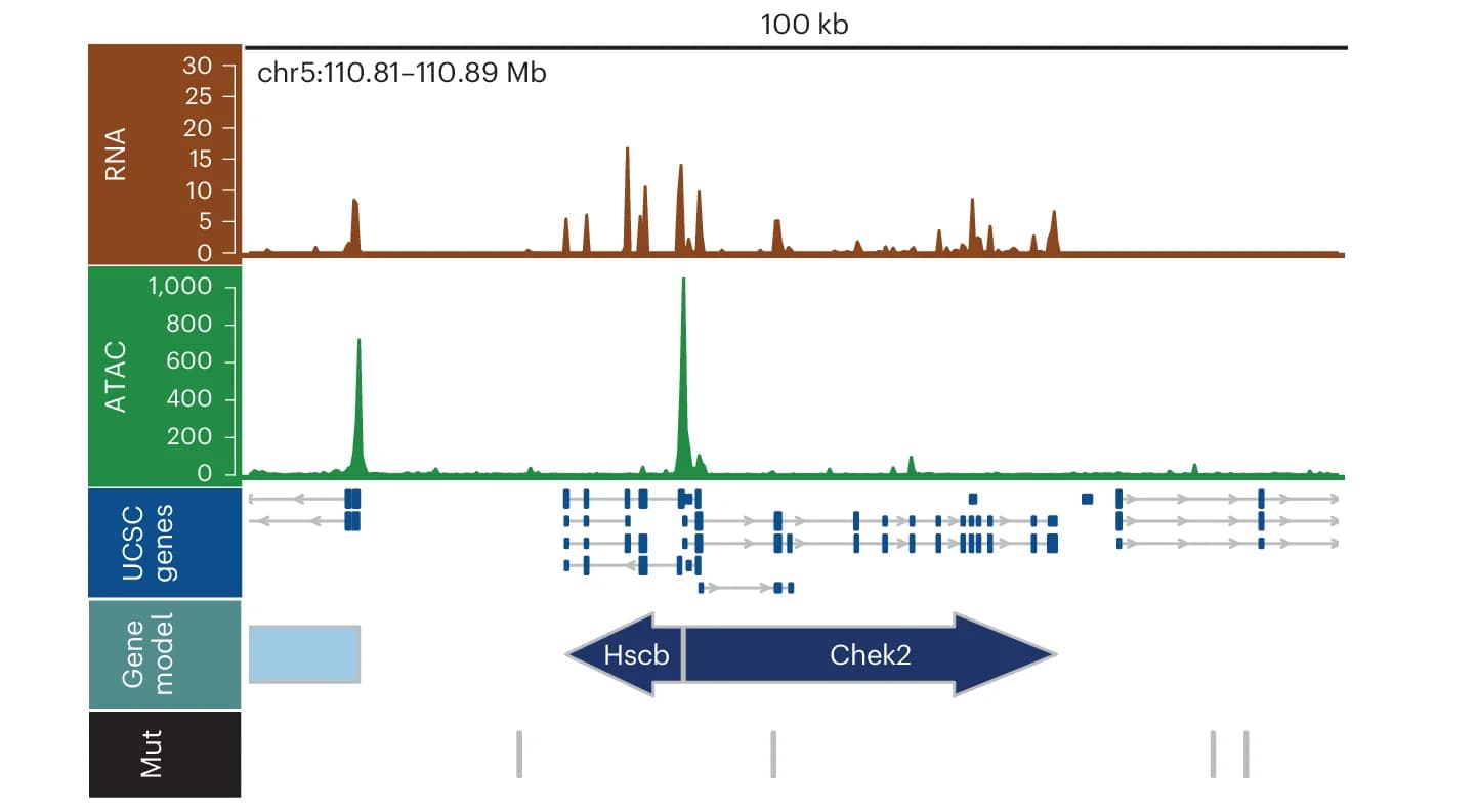 Open access visualization of Line Plot, Density Plot, Illustration, RNA-Seq Reads, ATAC-Seq Reads