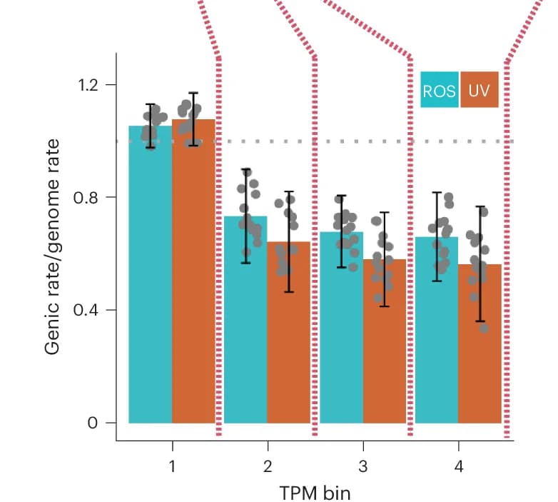Open access visualization of Bar Plot, Clustered, Error Bars, Scatter Plot, Mutation Rates