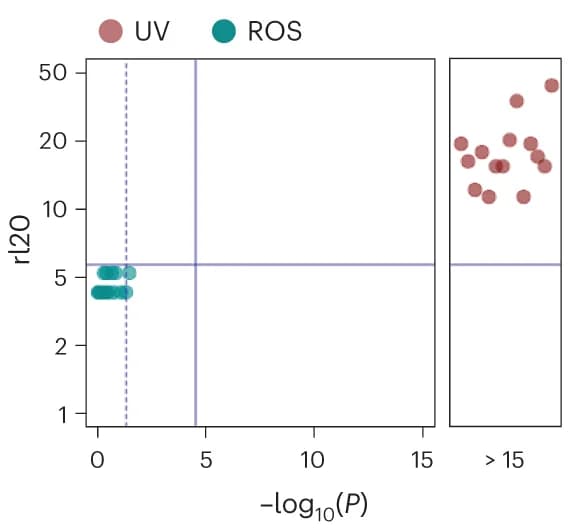 Open access visualization of Scatter Plot, rl20 Metric, Mutation Type, ROS Mutations, UV Mutations