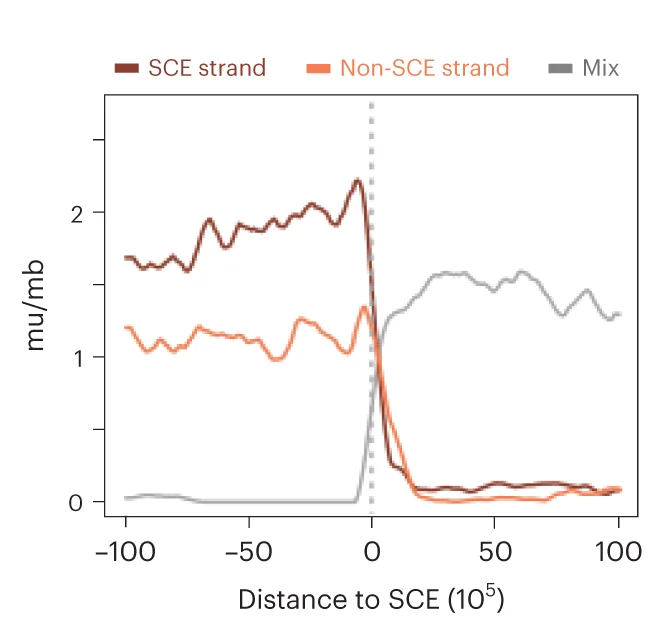 Open access visualization of Line Plot, Metaplot, Mutations, Recombined Strands, Non-recombinant Strands