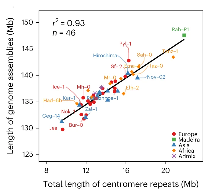Open access visualization of Scatter Plot, Regression Plot, Correlation Analysis, Genome Assembly Size, Centromeric Repeats