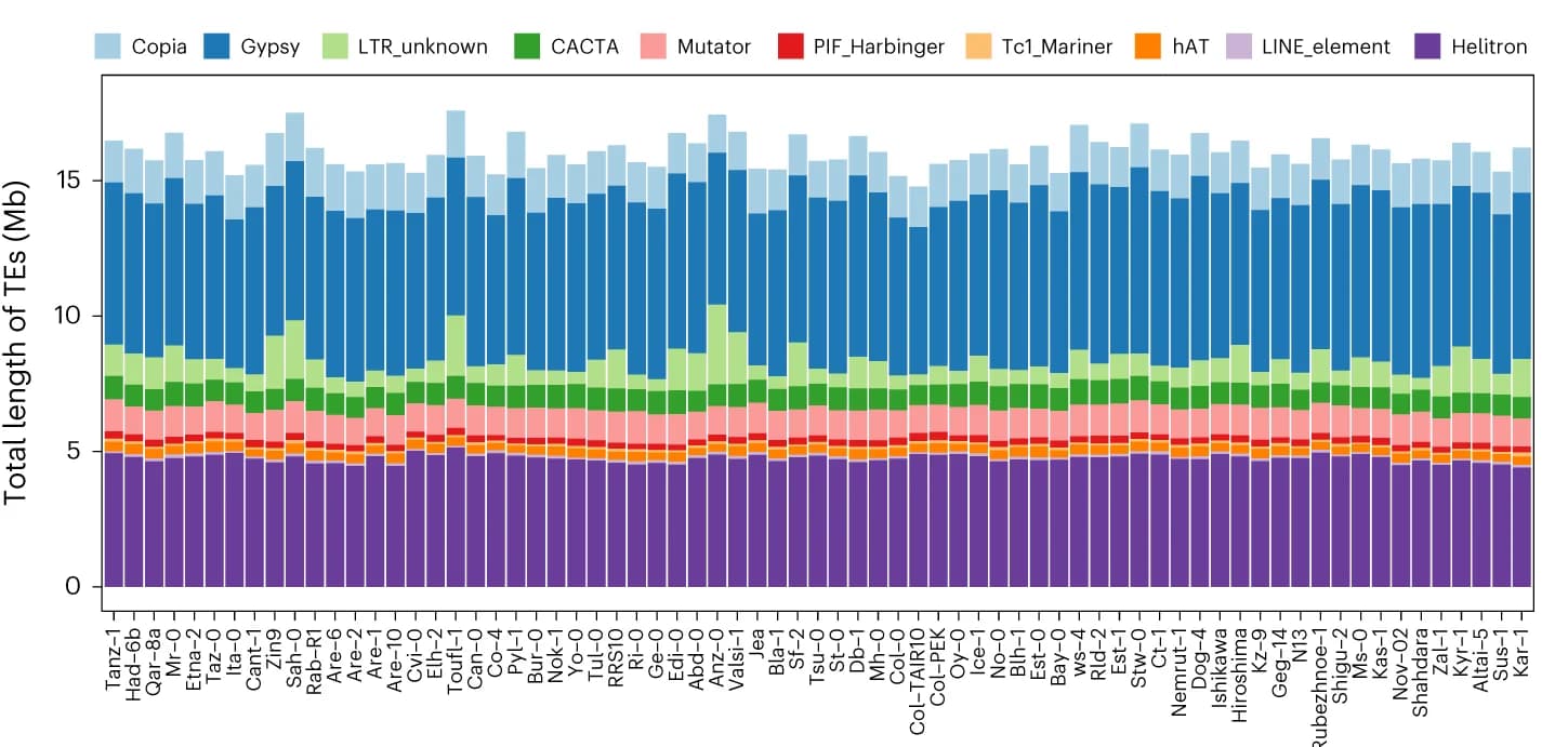 Open access visualization of Stacked Bar Plot, Repetitive Sequences, Genome Assembly, Composition