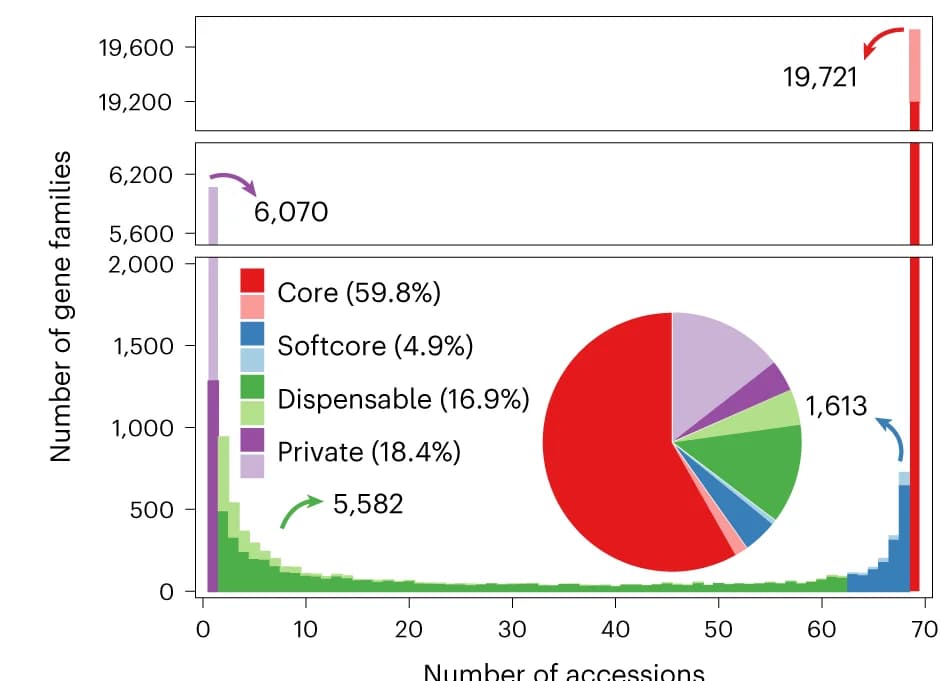 Open access visualization of Histogram, Pie Chart, Gene Families, Pan-Genome, Core Genes