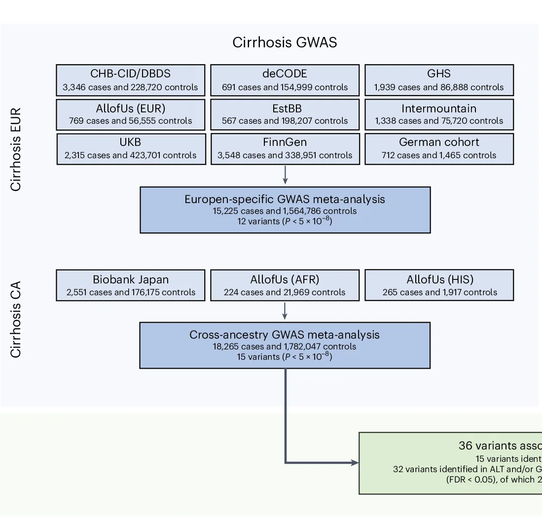Open access visualization of Workflow, Flowchart, Study Design, GWAS, Meta-Analysis