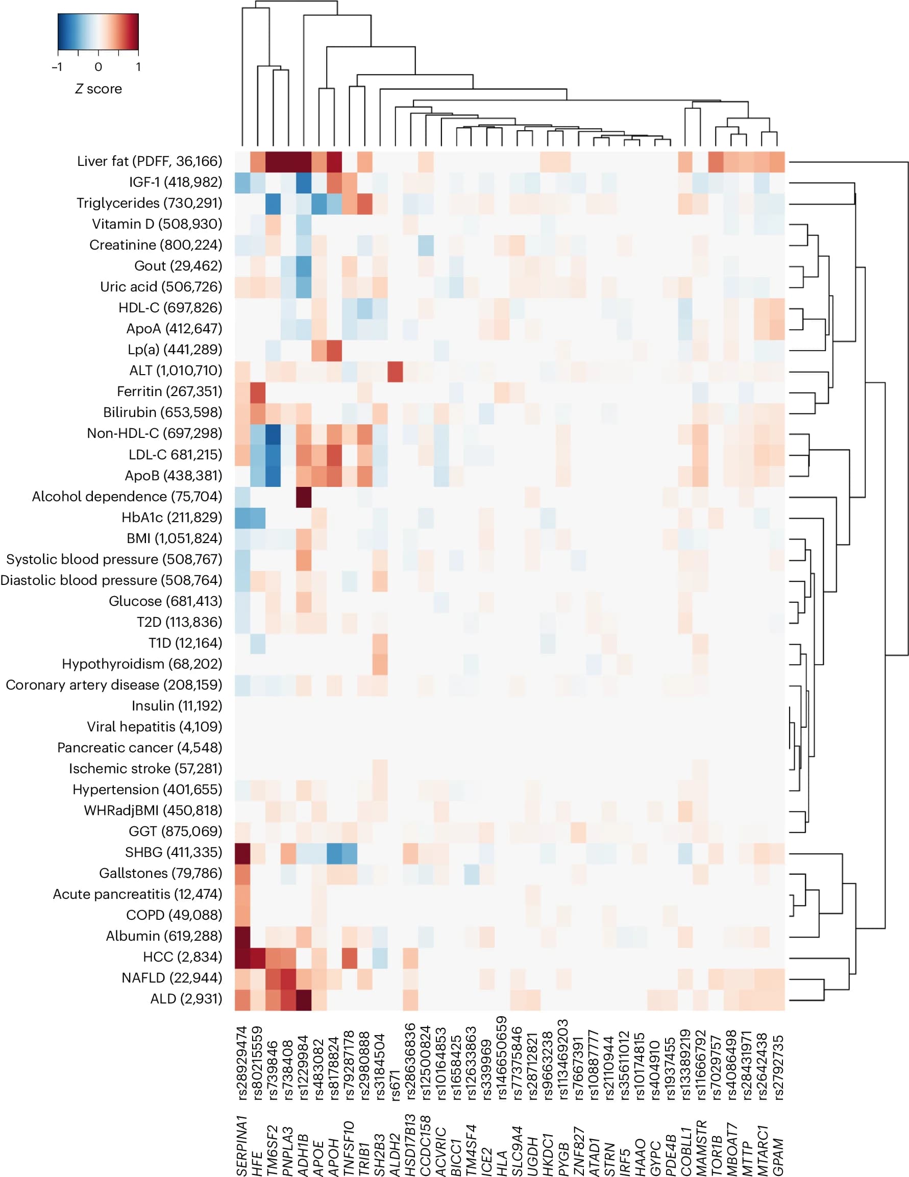 Open access visualization of Heatmap, Clustered, Cirrhosis, GWAS, Meta-analysis