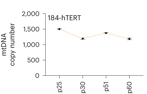 Open access visualization of Line Plot, Error Bars, Median mtDNA Copy Number, 184-hTERT SA039 Cell Line, Time Points
