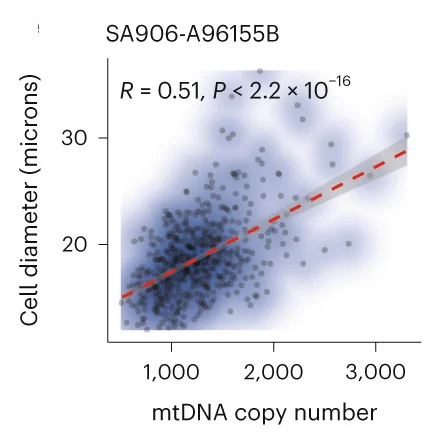 Open access visualization of Scatter Plot, Regression Plot, Density Plot, Pearson Correlation, mtDNA Copy Number