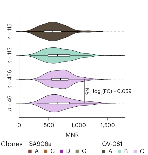 Open access visualization of Violin Plot, Box Plot, Violin Plots, MNR, Primary HGSC Sample