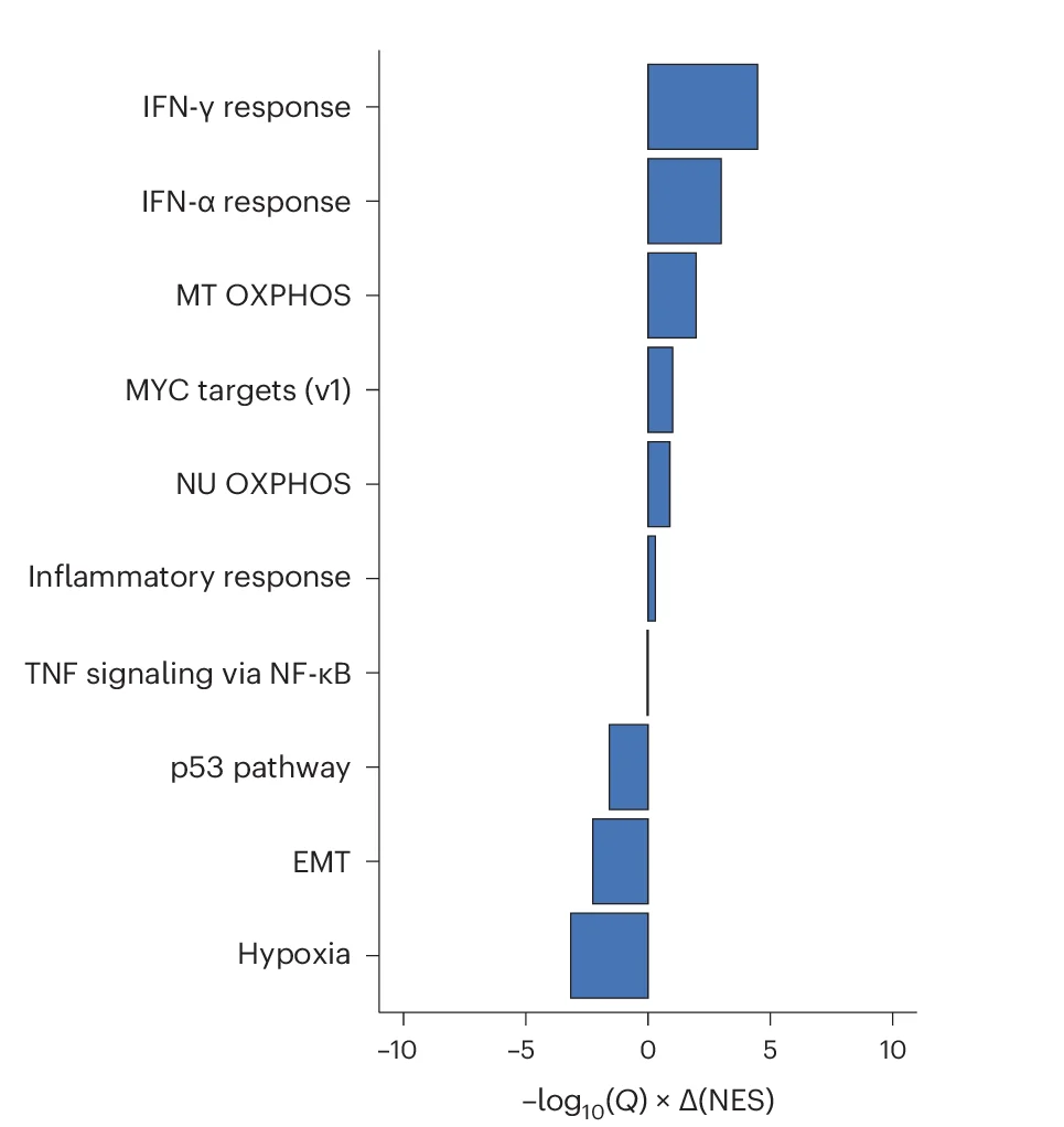 Open access visualization of Bar Plot, Differential Expression, MSigDB, Gene Sets, Tumor Samples