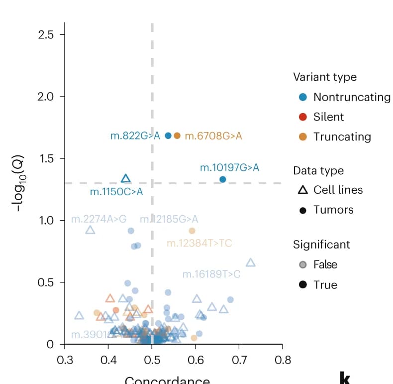 Open access visualization of Scatter Plot, Volcano Plot, Heteroplasmy Level, Truncating Variants, mtDNA Copy Number