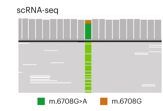 Open access visualization of Bar Plot, Stacked Bar Plot, scRNA-seq, Sequencing Data