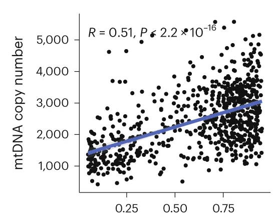 Open access visualization of Scatter Plot, Regression Plot, Pearson Correlation, mtDNA Copy Number, Heteroplasmy Level