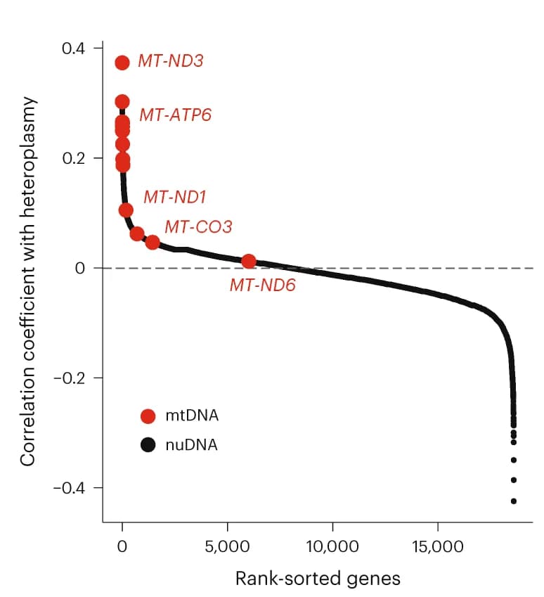 Open access visualization of Line Plot, Scatter Plot, Pearson Correlation Coefficient, Heteroplasmy Level, Truncating Variant